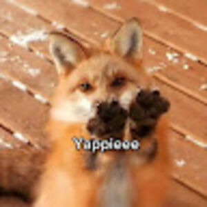 Meet your Posher, Fex